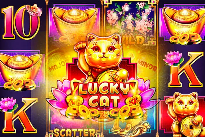 Finden Sie die besten Sharkroll Casino Bonus Codes Ohne Einzahlung [Current Year] für Neukunden.