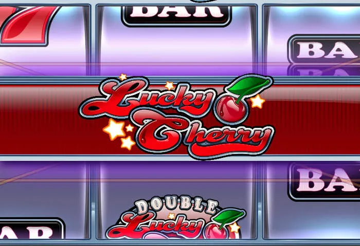 Sharkroll Casino logo with prominent 2024 no deposit bonus offer details.