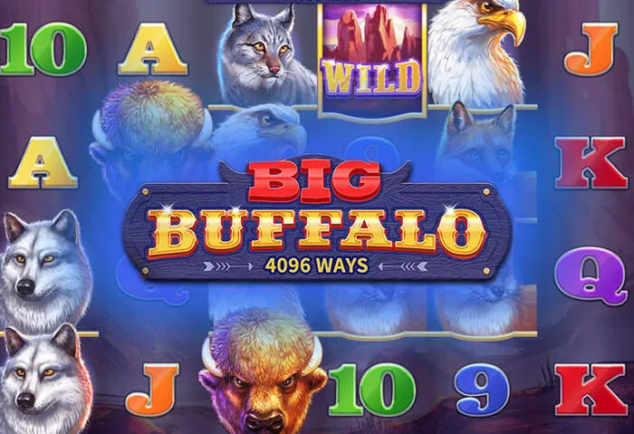 Profitez des Options de bonus de dépôt Sharkroll Casino.