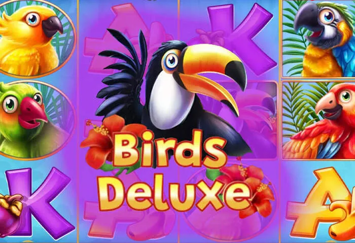 Gioca gratis con il bonus senza deposito di Sharkroll Casino nel 2024